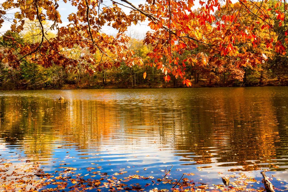 Birge Pond In Bristol, Connecticut.