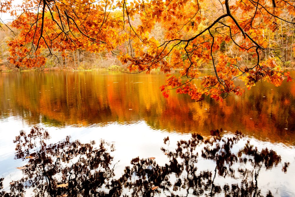 Birge Pond In Bristol, Connecticut.